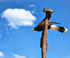 서울근교 당일치기 여행
