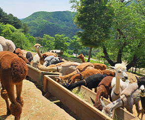 6월 국내여행지 추천