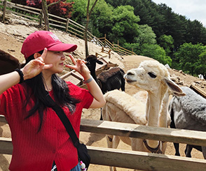 강원도 여행 홍천